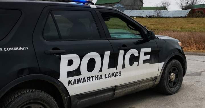 Man pleads guilty in Lindsay, Ont., break-in case that became political flashpoint Man pleads guilty in Lindsay, Ont., break-in case that became political flashpoint