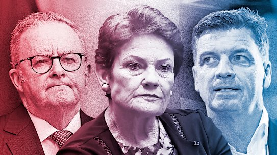 Anthony Albanese and Angus Taylor’s parties have gained votes in April’s RPM, while after months on the rise Pauline Hanson and One Nation have stalled.