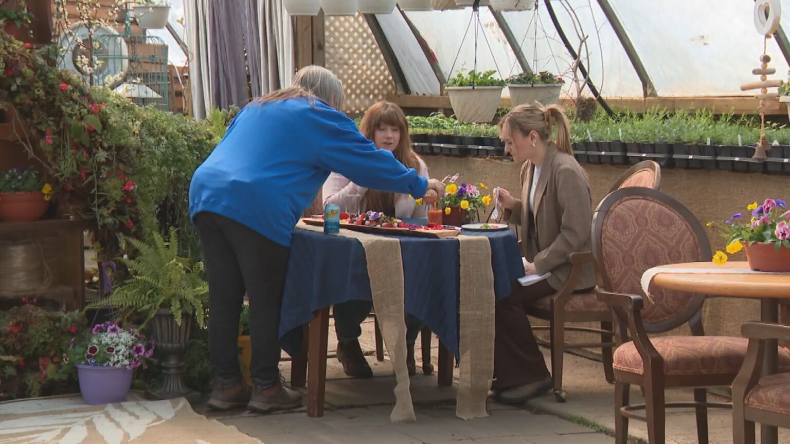 ‘They want to understand’: Agritourism growing across Alberta