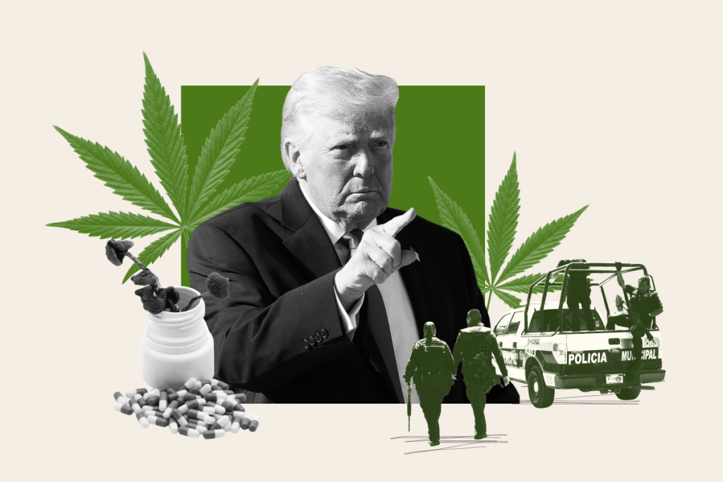 Is Donald Trump the Drug President?