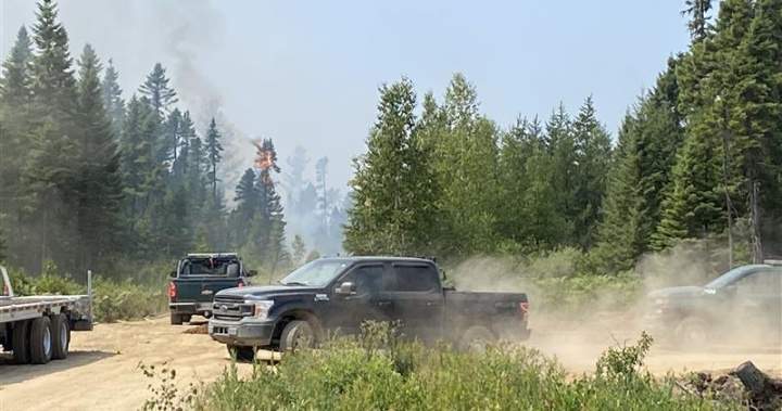 New Brunswick launches wildfire season early, anticipating hot and dry conditions this summer New Brunswick launches wildfire season early, anticipating hot and dry conditions this summer