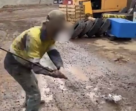 A man was fined after he bashed a pigeon with a golf club in a video that was uploaded to SnapChat.