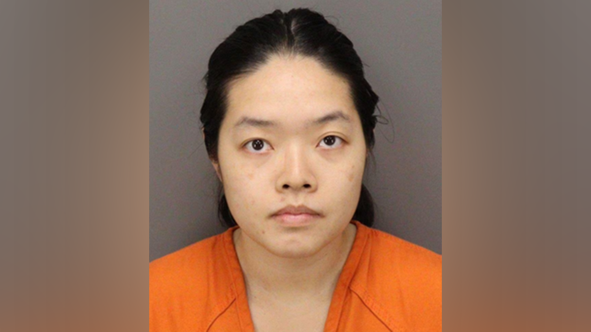 Anne Mary Zheng mugshot