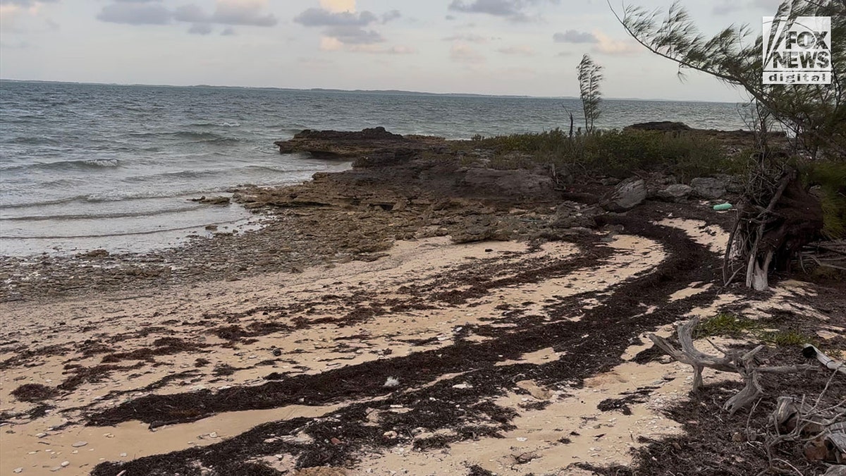The rocky beach in Marsh Harbor