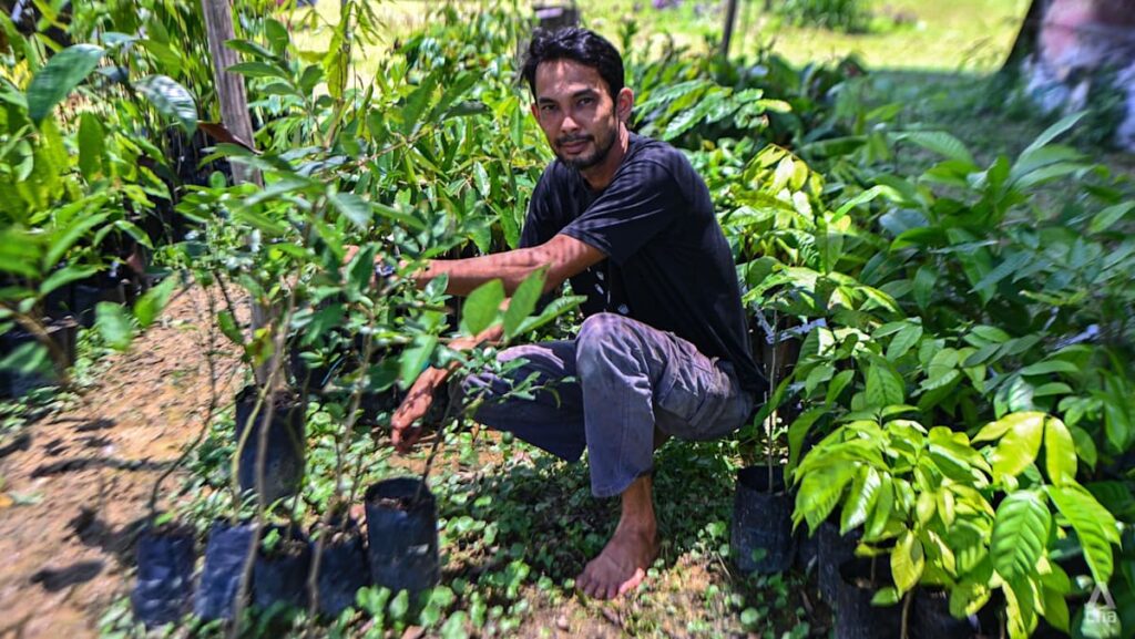 ‘Live a good life’: Why these Singaporeans left the corporate world to be farmers in Johor