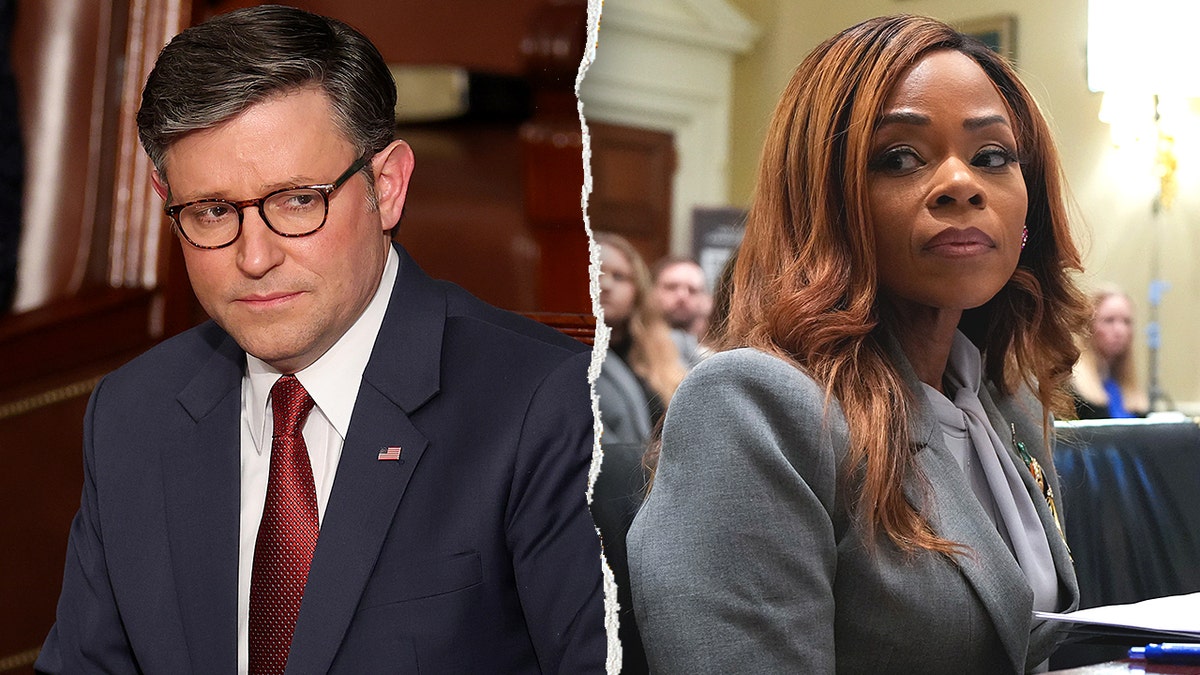 Split of Mike Johnson and Sheila Cherfilus-McCormick