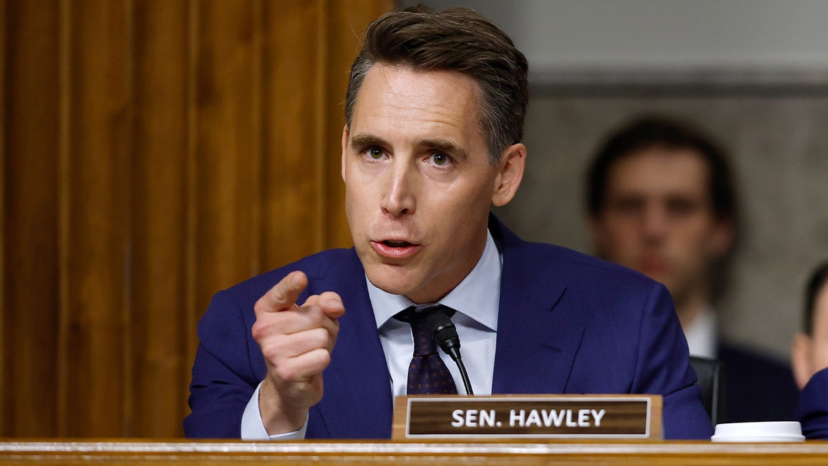 Sen. Josh Hawley questioning officials during Senate hearing in Capitol Hill office building