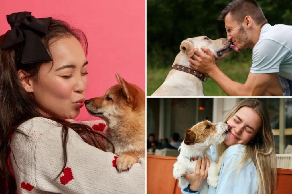 Dream job for dog lovers? Earn K per hour to kiss canines and sniff their breath