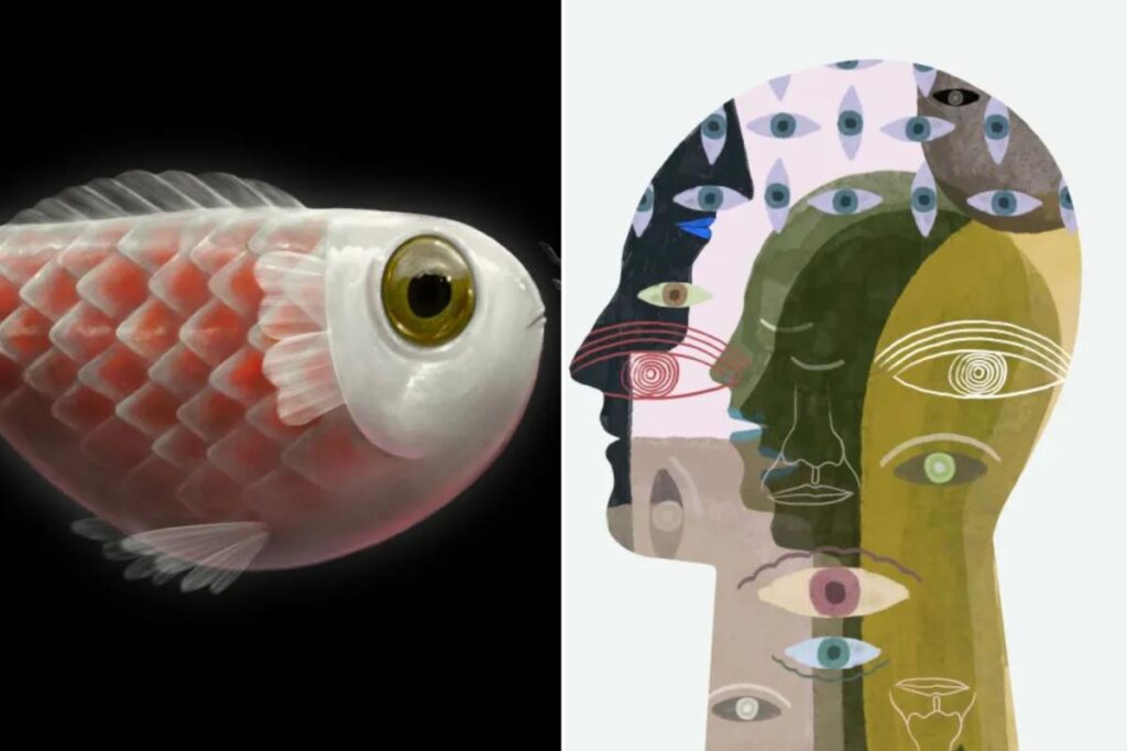 Here’s how to emotionally detox during Mercury retrograde in Pisces 2026 Here’s how to emotionally detox during Mercury retrograde in Pisces 2026