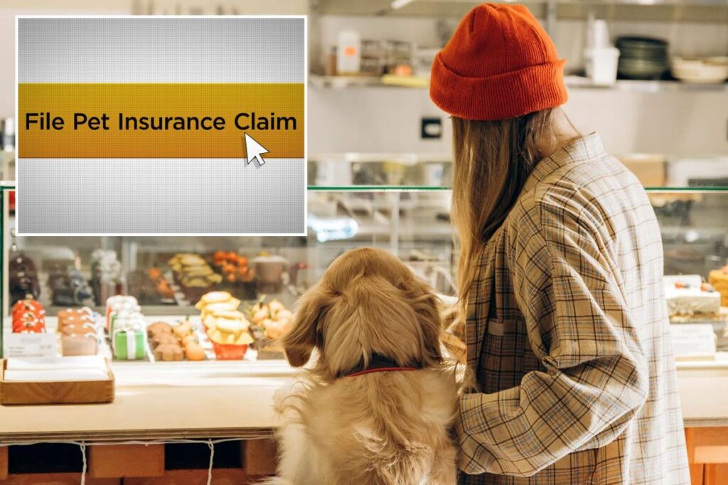 The true cost of being a pet parent in 2026: What you need to know