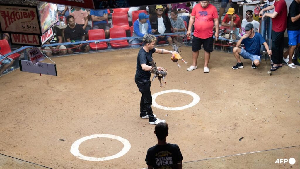 Korean Air bans roosters on US-Philippine routes amid cockfighting outcry