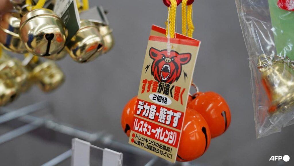 Japan confirms year’s first fatal bear attack, two others suspected