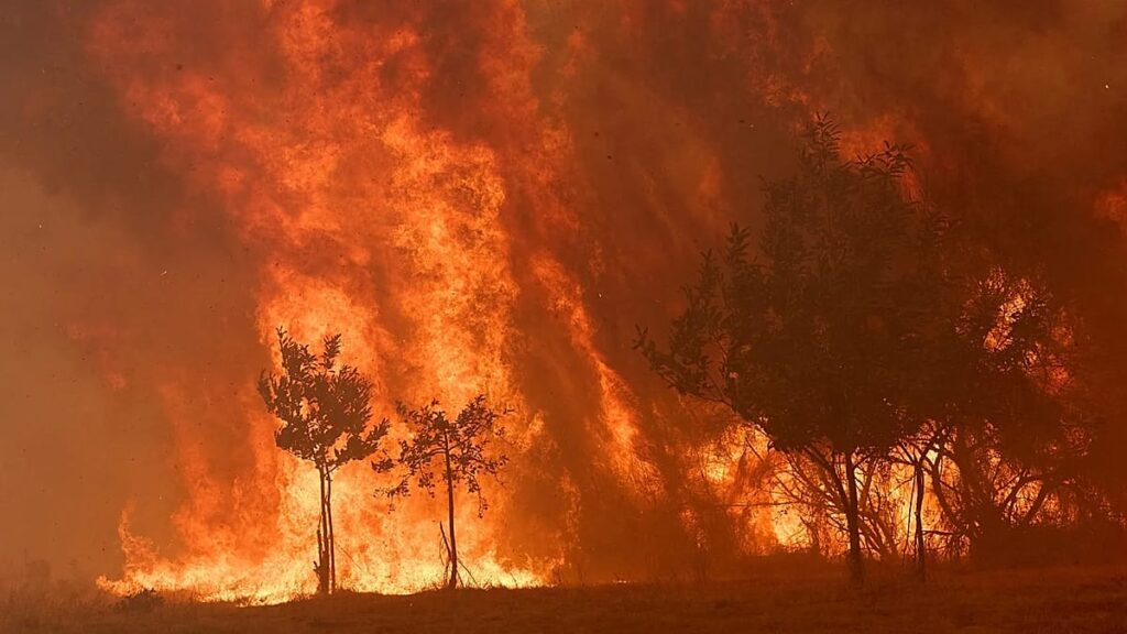 Spain to launch biggest wildfire campaign after record losses in 2025 Spain to launch biggest wildfire campaign after record losses in 2025