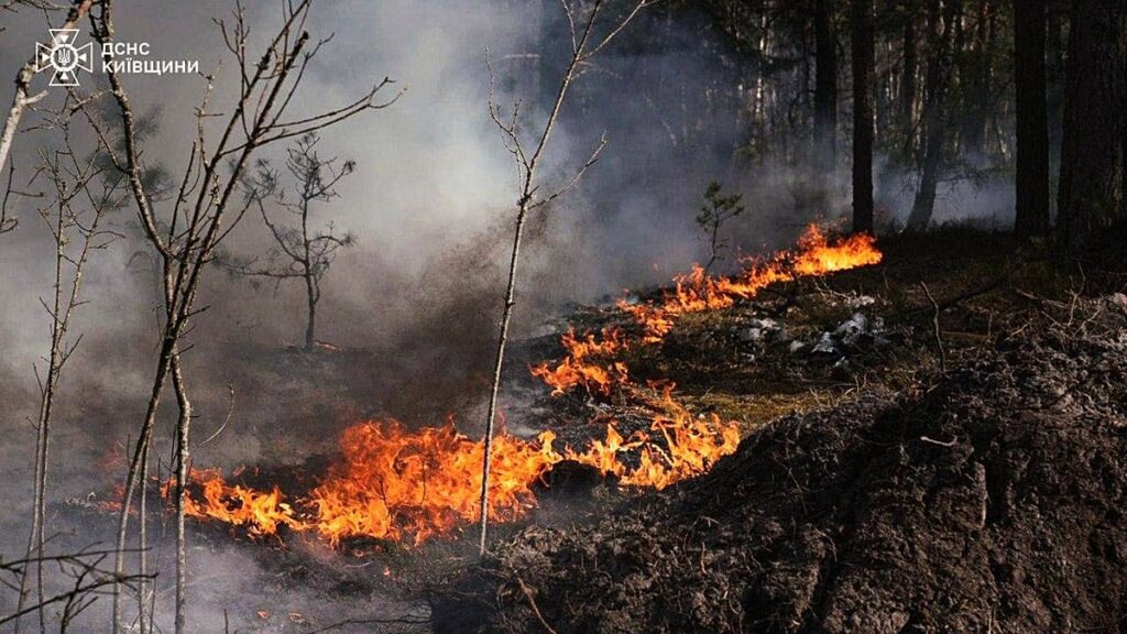 Forest fire burning near Chernobyl plant after drone crash, Kyiv says