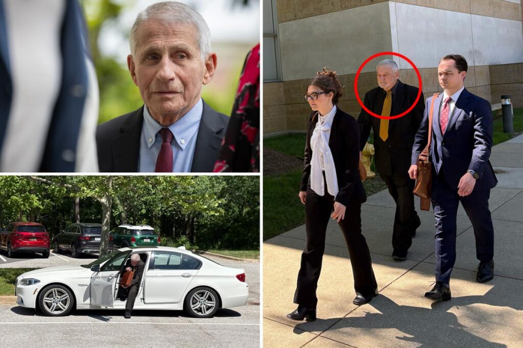 Ex-senior adviser to Anthony Fauci claims he’s ‘innocent’ of charges for destroying COVID records Ex-senior adviser to Anthony Fauci claims he’s ‘innocent’ of charges for destroying COVID records