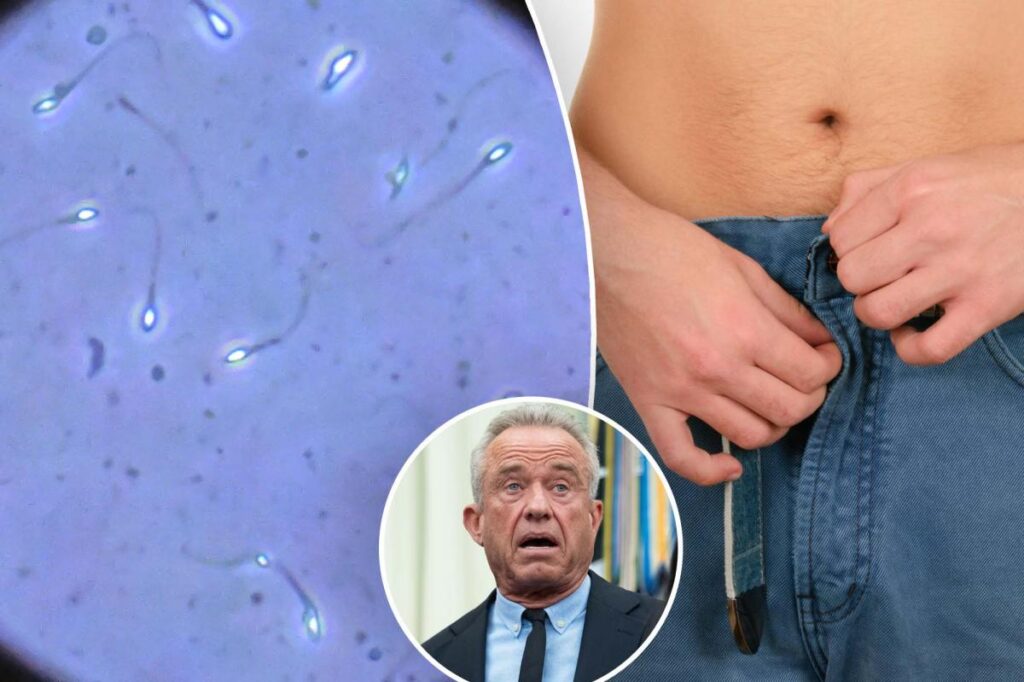 Do teens today really have half as much sperm as men in the ‘70s? What docs say about RFK Jr.’s claims Do teens today really have half as much sperm as men in the ‘70s? What docs say about RFK Jr.’s claims