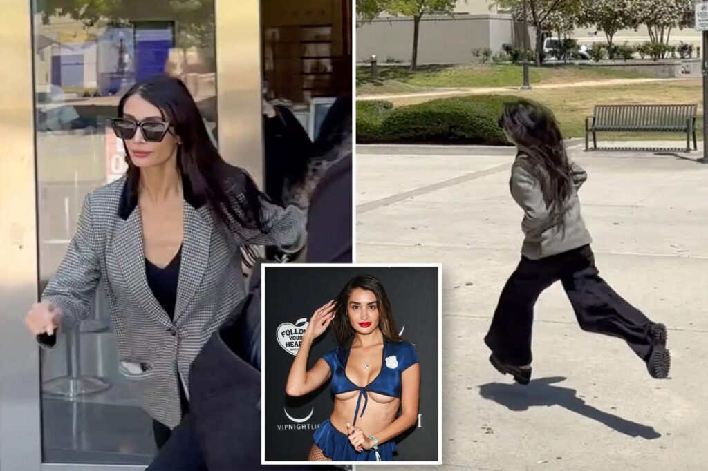 Exclusive | Stephen Cloobeck’s penthouse pet flees courthouse after passport is seized