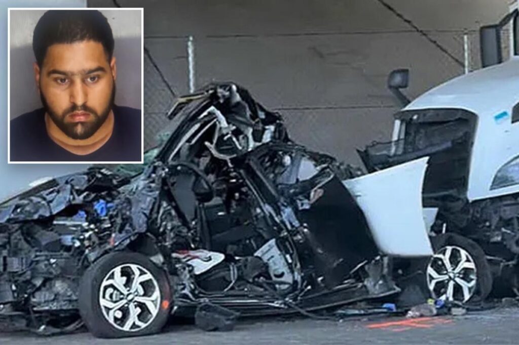 Illegal immigrant truck driver from India arrested in deadly California hit-and-run after Biden release