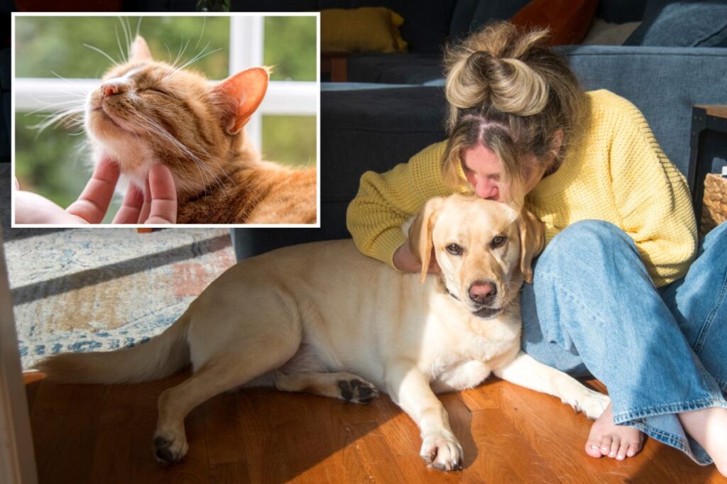 New Jersey pet owners could cash in on 0 tax credit under new proposed bill