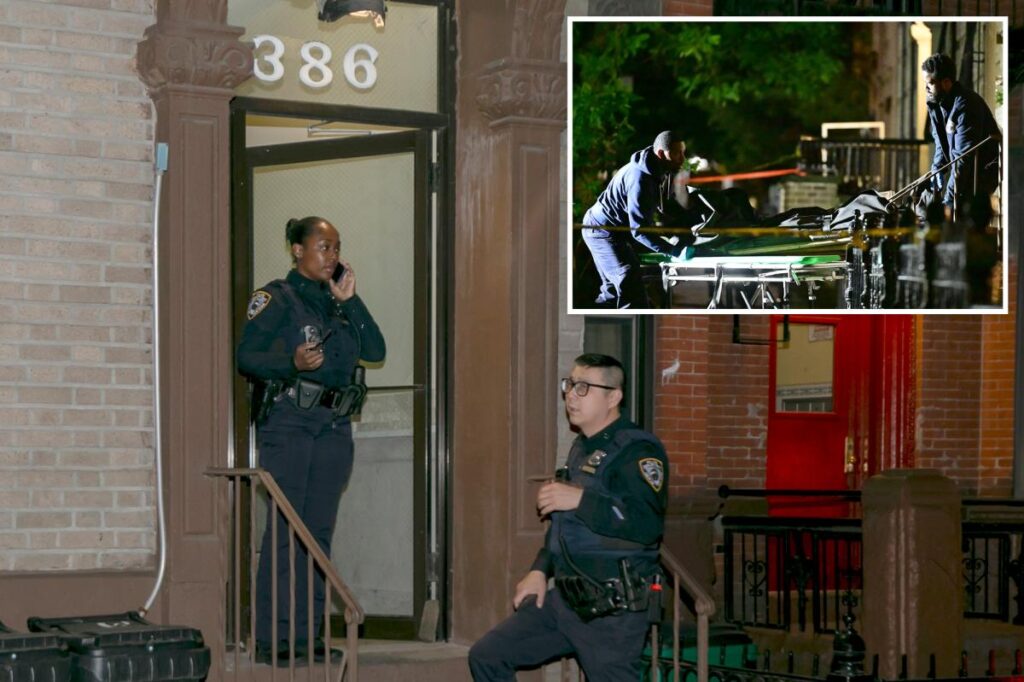 Mother, daughter found dead in brownstone in leafy NYC nabe died by slay-suicide — the second in bldg. since 2024: sources Mother, daughter found dead in brownstone in leafy NYC nabe died by slay-suicide — the second in bldg. since 2024: sources
