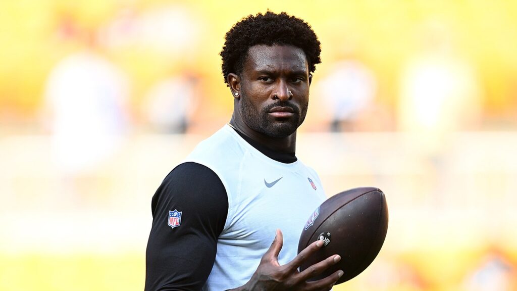 Steelers star DK Metcalf will not face criminal charges for viral altercation with Lions fan