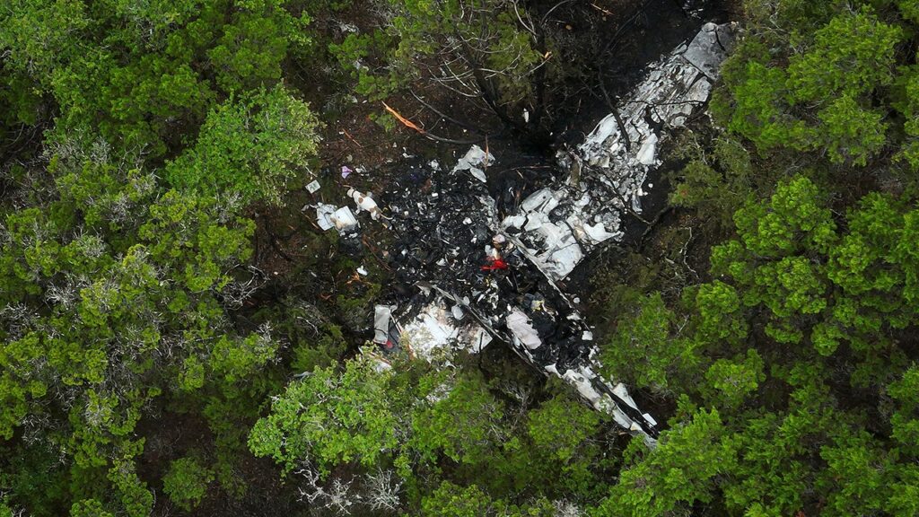 Pickleball team plane crashes in Texas, killing everyone on board
