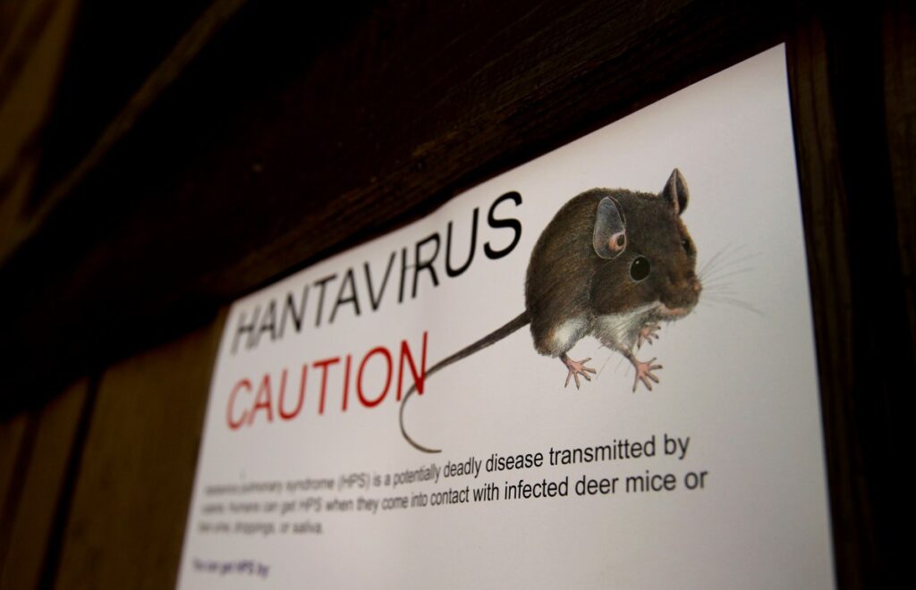 Three Dead After Suspected Hantavirus Outbreak on Cruise Ship