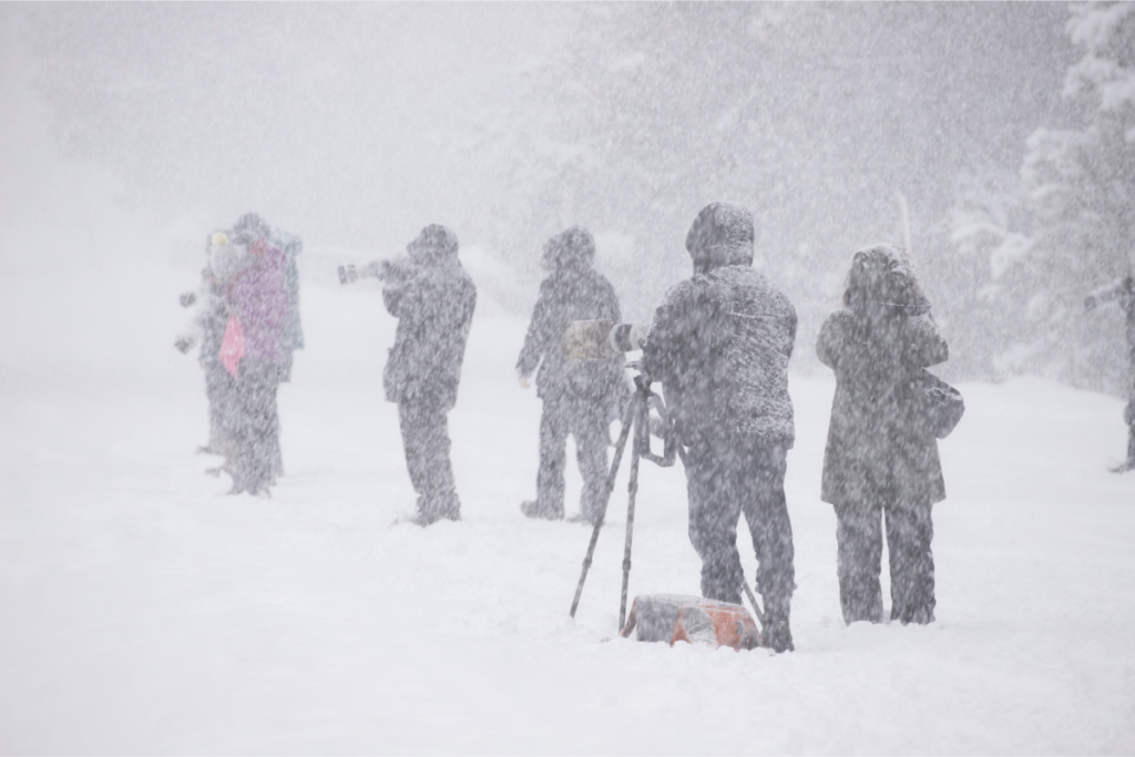 Heavy Snow Alert As 6 Inches To Hit Montana: Hypothermia Risk 