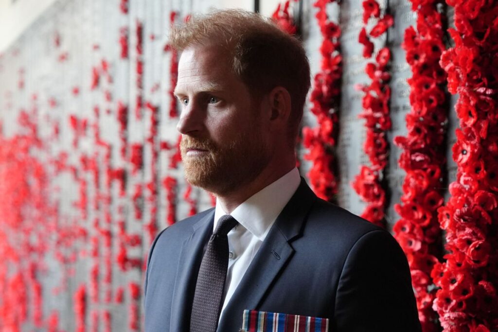 Prince Harry’s New Netflix Project Will Serve as Subtle Clapback to Trump