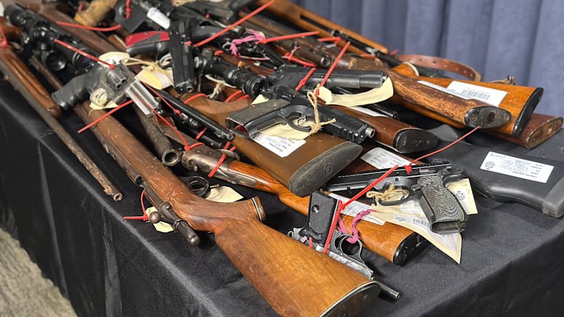 Allan government rejects police-backed proposal to cap firearm ownership Allan government rejects police-backed proposal to cap firearm ownership