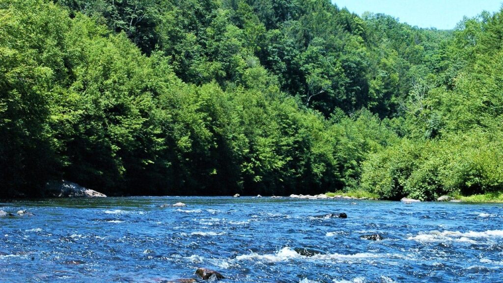 12-Year-Old Boy Dies After Raft Capsizes During School Trip in Pennsylvania 12-Year-Old Boy Dies After Raft Capsizes During School Trip in Pennsylvania