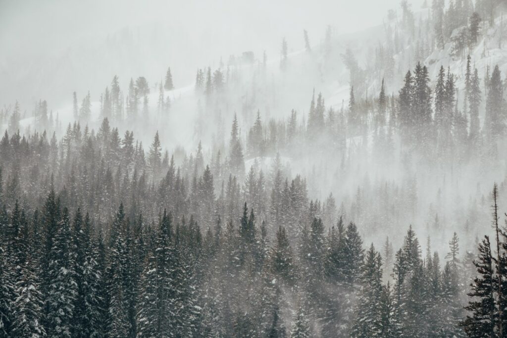 Utah Snow Warning as 4 Inches to Hit: ‘Atypical’