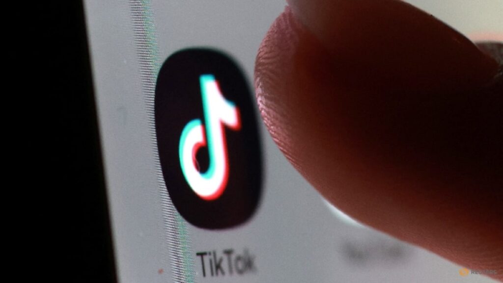 Malaysia takes TikTok to task over ‘offensive’ content against king