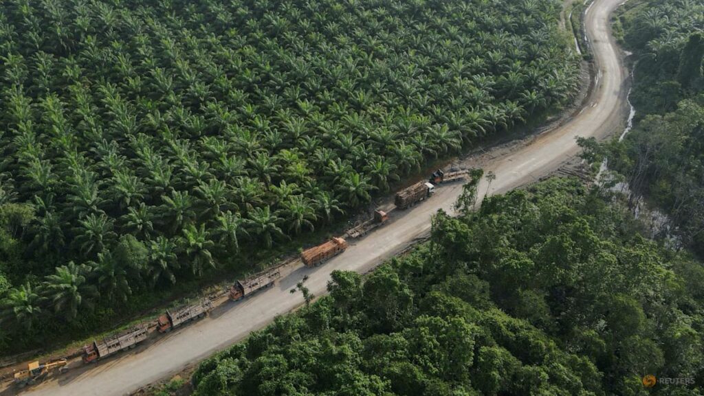 Indonesia to bring commodity exports under centralised control, president says