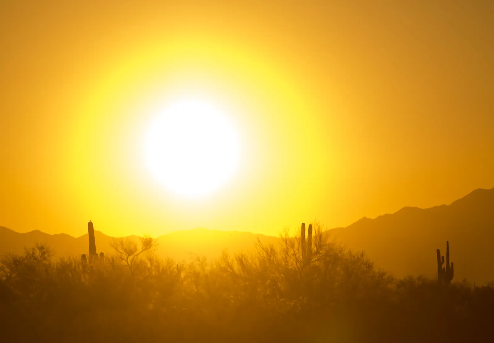 sun set arizona
