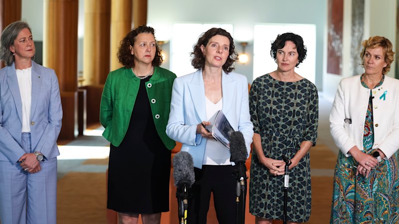 Teals in advanced talks to form new political party; Flotilla activists return home, demand audience with PM; Antisemitism royal commission to recommence today Teals in advanced talks to form new political party; Flotilla activists return home, demand audience with PM; Antisemitism royal commission to recommence today