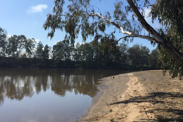 The banks of the Murrumbidgee River in Wagga Wagga.