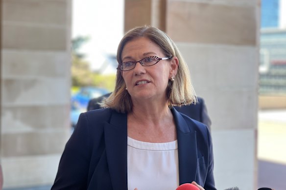 Health Minister Meredith Hammat.