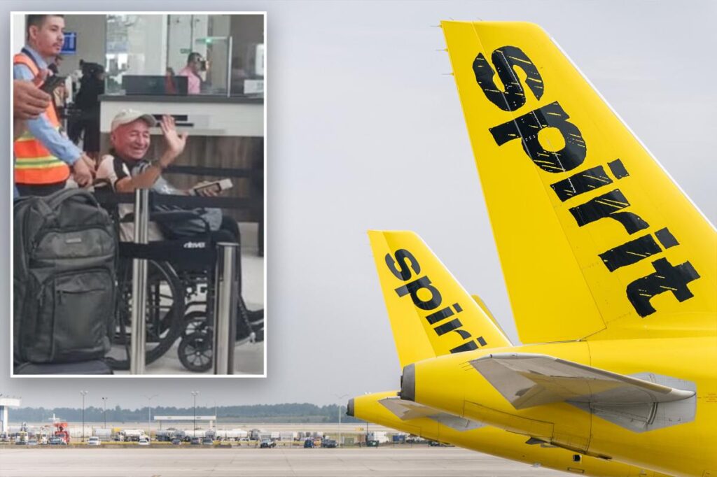 Spirit Airlines accused of failing to assist elderly dementia patient who wandered out of airport, was killed by car: lawsuit Spirit Airlines accused of failing to assist elderly dementia patient who wandered out of airport, was killed by car: lawsuit