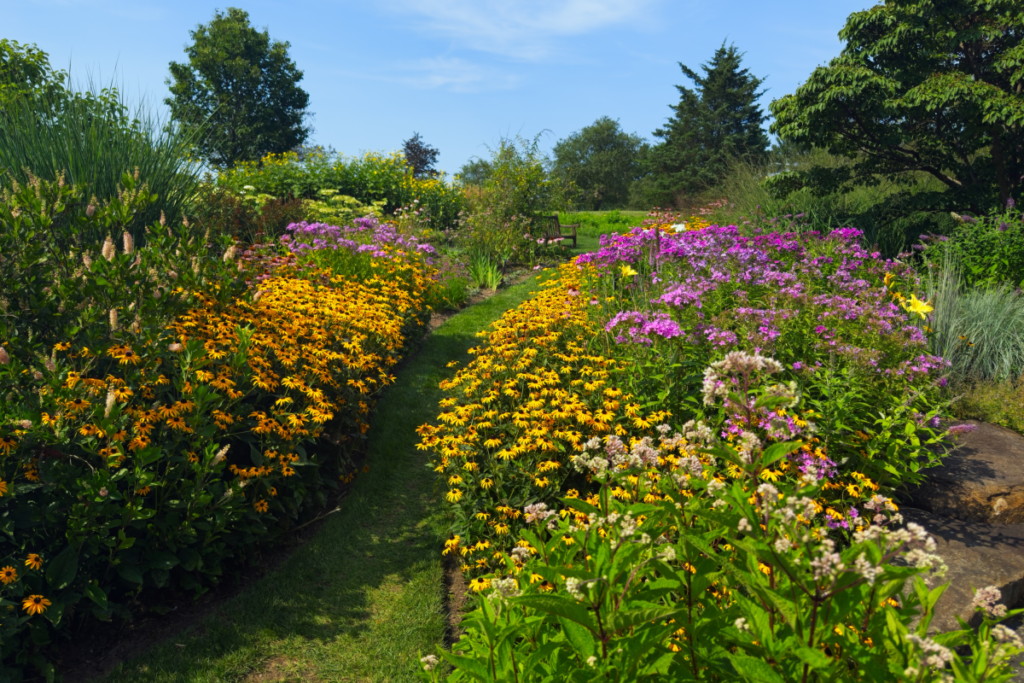 Old Farmer’s Almanac Issues Advice to Gardeners Ahead of Dry Summer