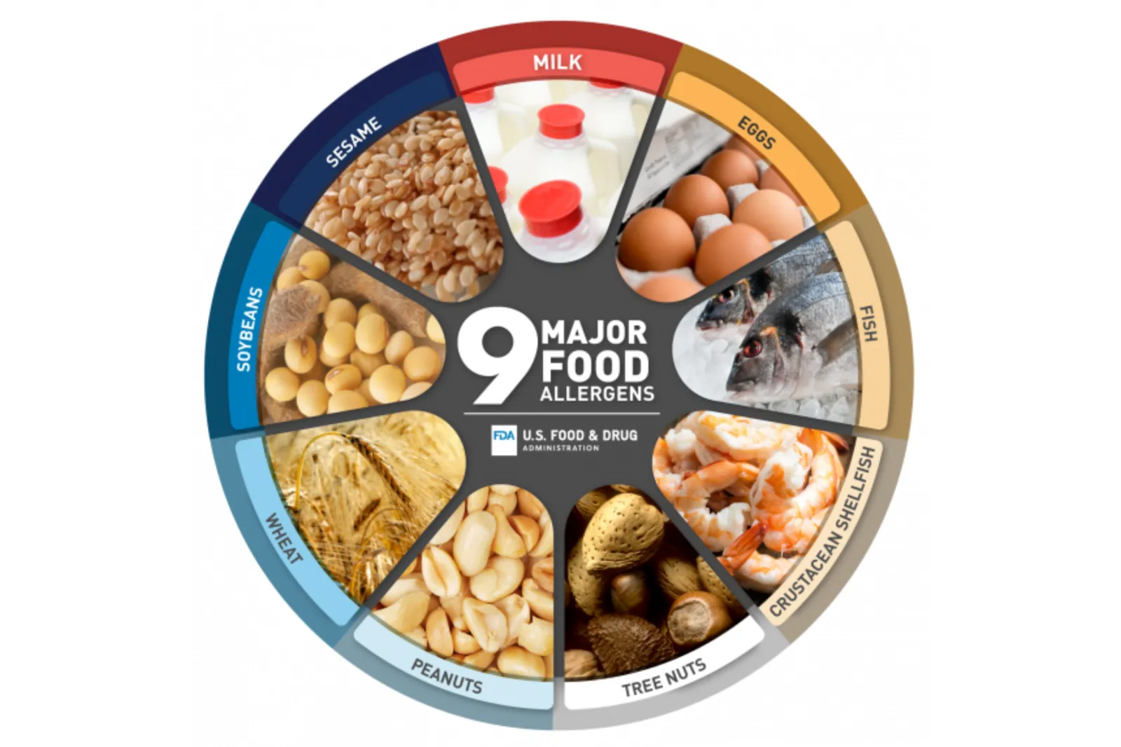 The FDA's nine major allergens.