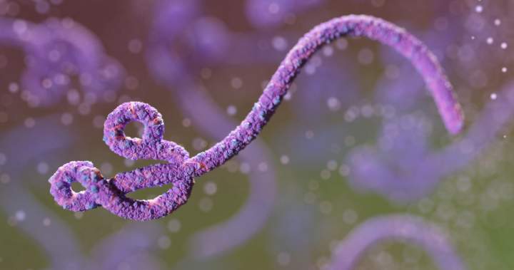 Ontario tests possible Ebola case after East Africa travel, no confirmations Ontario tests possible Ebola case after East Africa travel, no confirmations