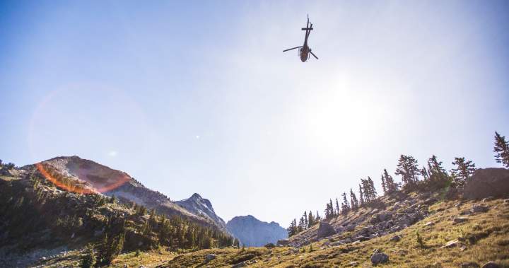 Pilot was distracted by phone when fatal B.C. helicopter accident occurred: TSB Pilot was distracted by phone when fatal B.C. helicopter accident occurred: TSB