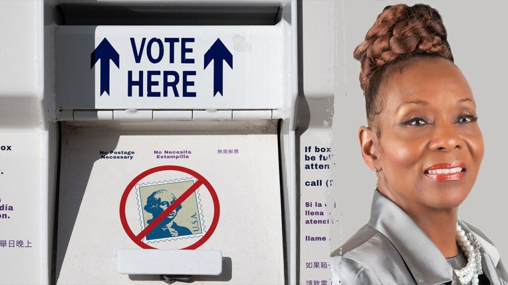 Illinois official charged after allegedly submitting dead mother’s mail-in ballot Illinois official charged after allegedly submitting dead mother’s mail-in ballot