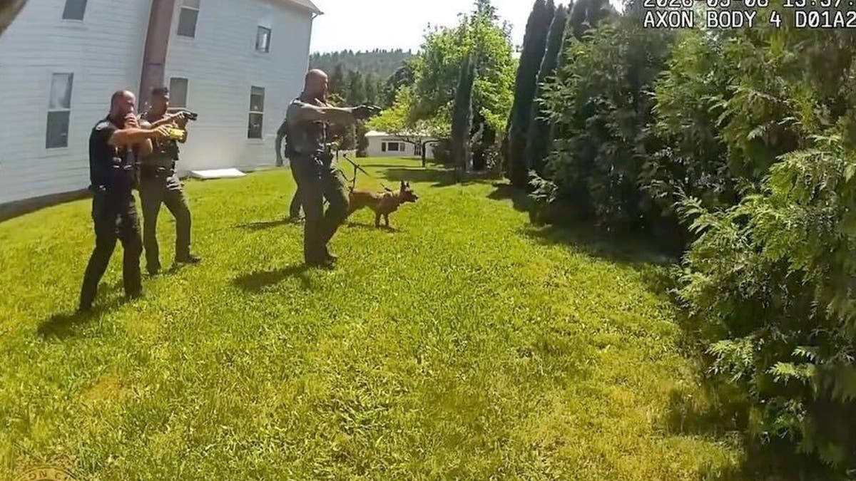 Police aim guns at suspect in screengrab