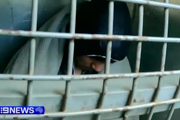 Feng in custody following his arrest on Sunday morning.