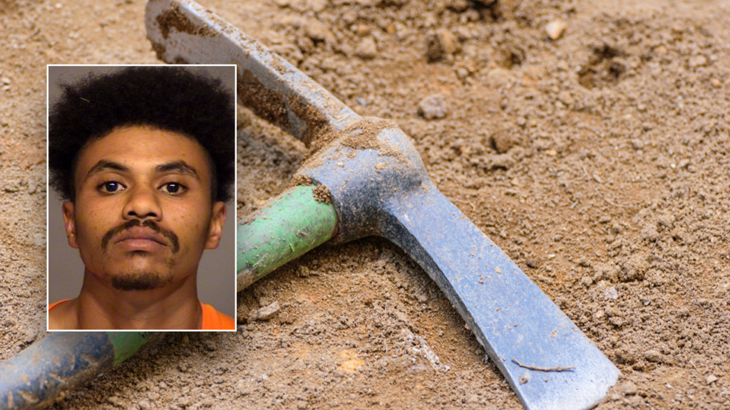 California man sentenced to prison for using pickaxe to kill teen brother with cerebral palsy