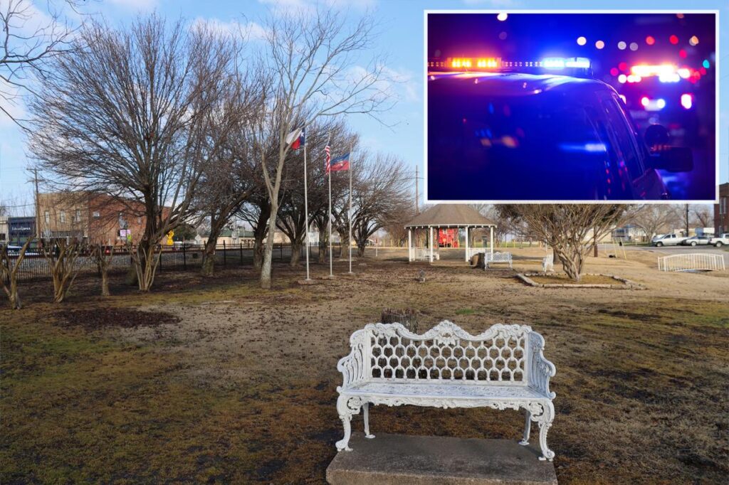 Plane crash in field leaves three Dallas cops injured, one critically Plane crash in field leaves three Dallas cops injured, one critically