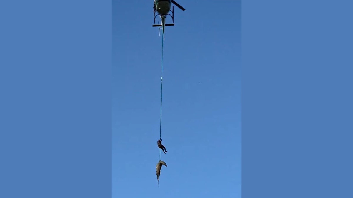 A wide shot of a helicopter in the sky with a person and a crocodile suspended far below on a single rope.