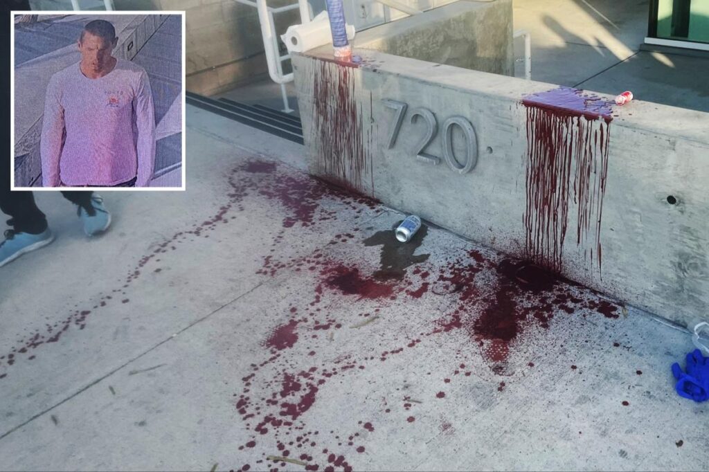 Exclusive | Samurai sword-wielding maniac nearly hacked off man’s arm in Venice —and he’s on the run